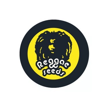 Semi femminizzati Reggae Seeds